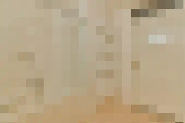 Luttickduin 114 Amstelveen thumbnail 24