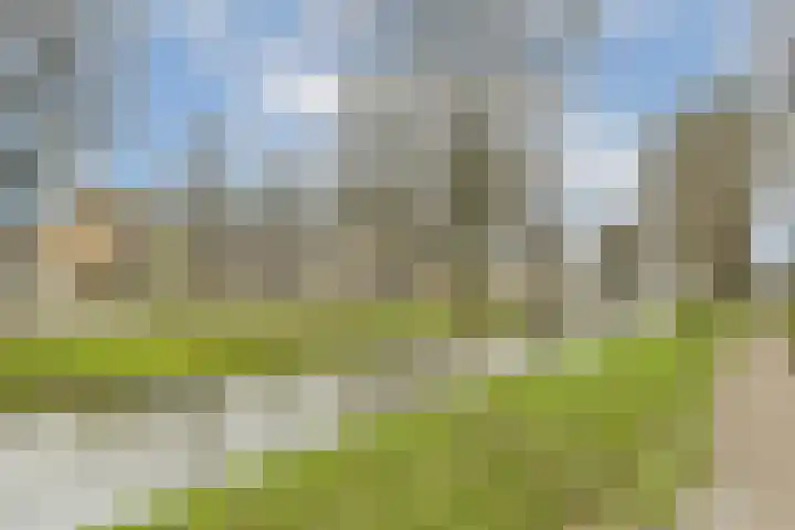 Luttickduin 114 Amstelveen thumbnail 30