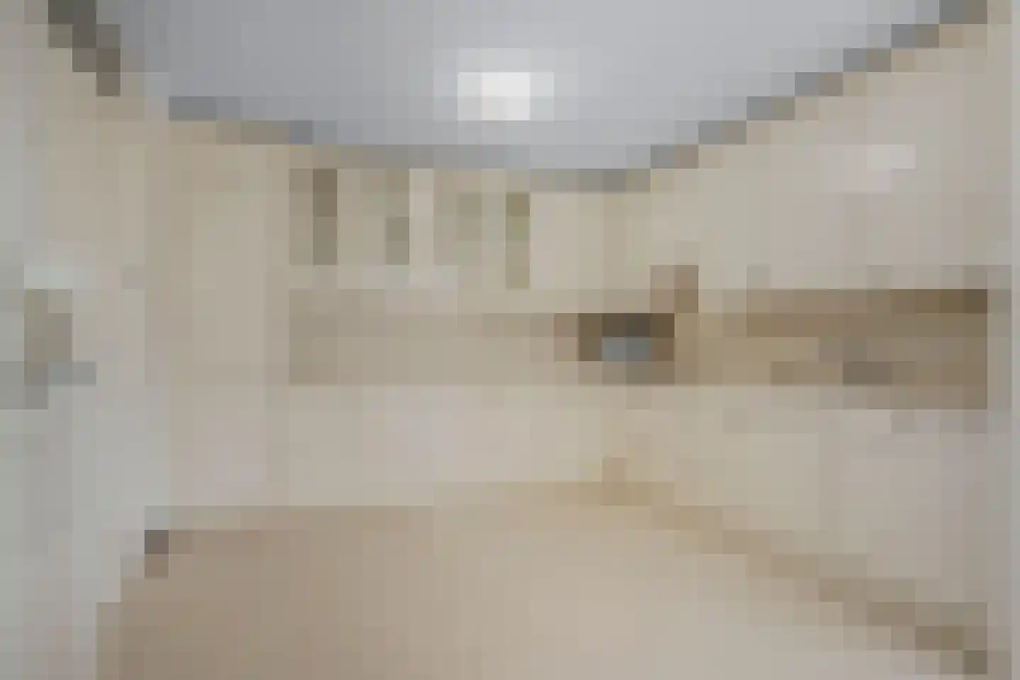 Luttickduin 114 Amstelveen thumbnail 6