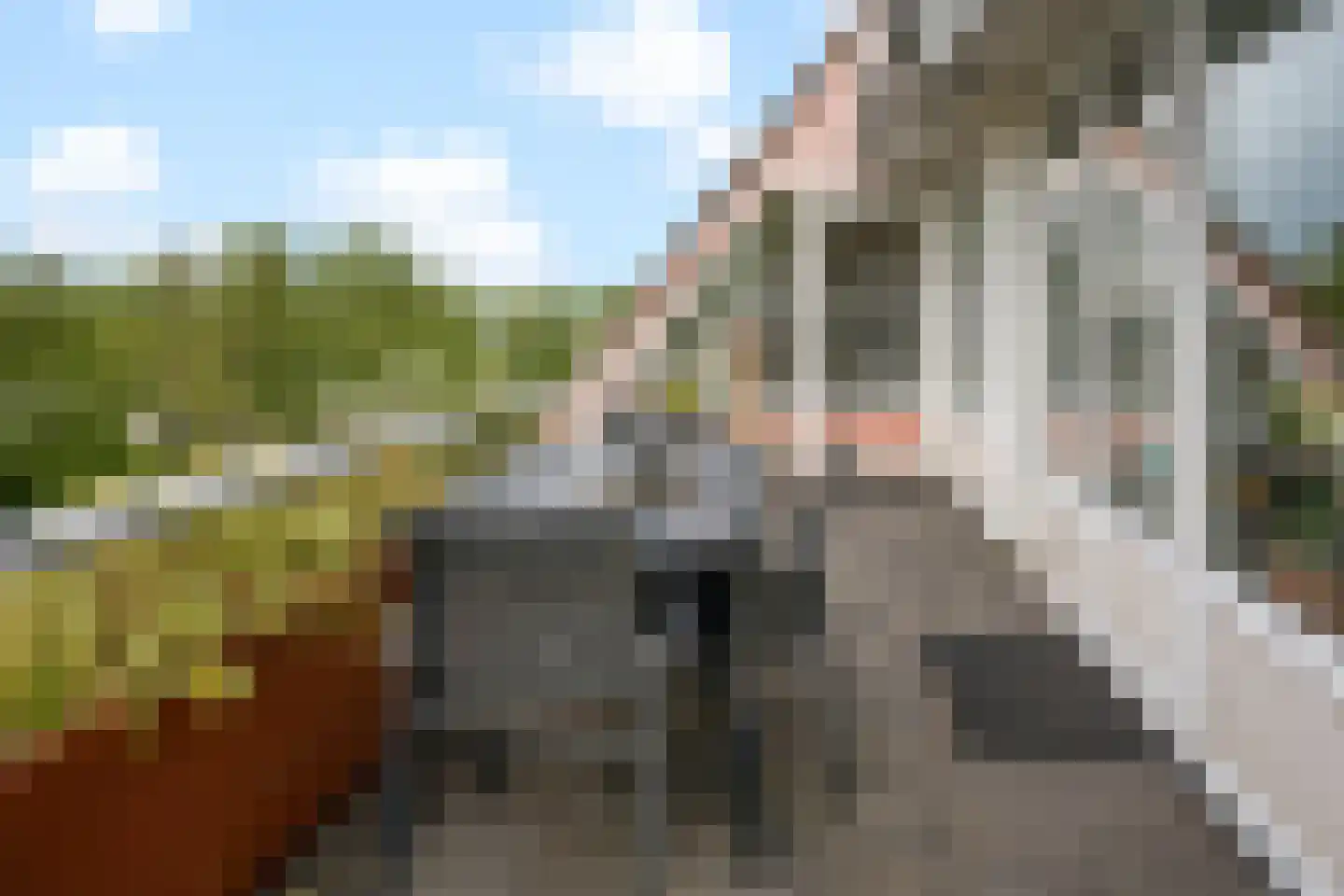 Luttickduin 125 Amstelveen thumbnail 10