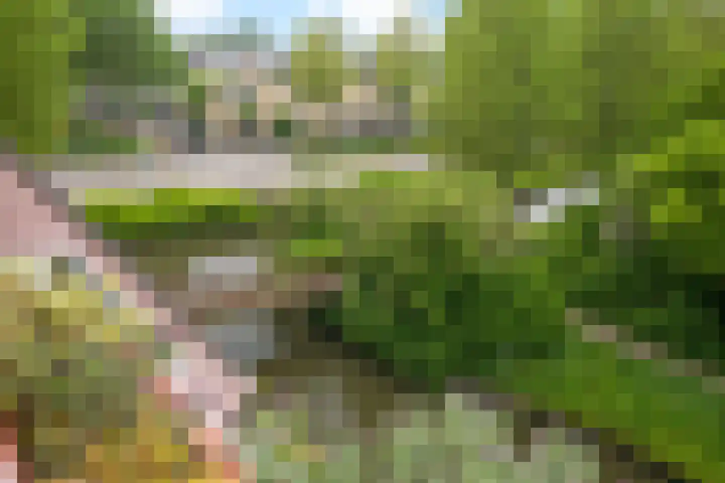 Luttickduin 125 Amstelveen thumbnail 11