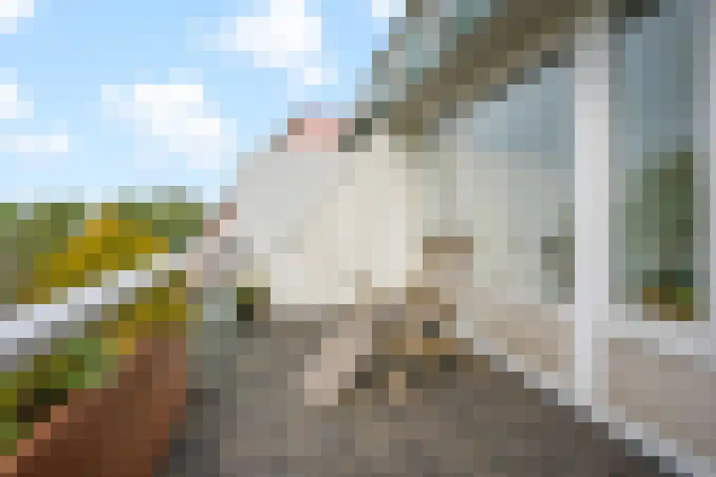 Luttickduin 125 Amstelveen thumbnail 23