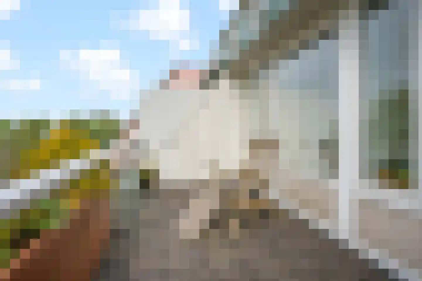 Luttickduin 125 Amstelveen thumbnail 24