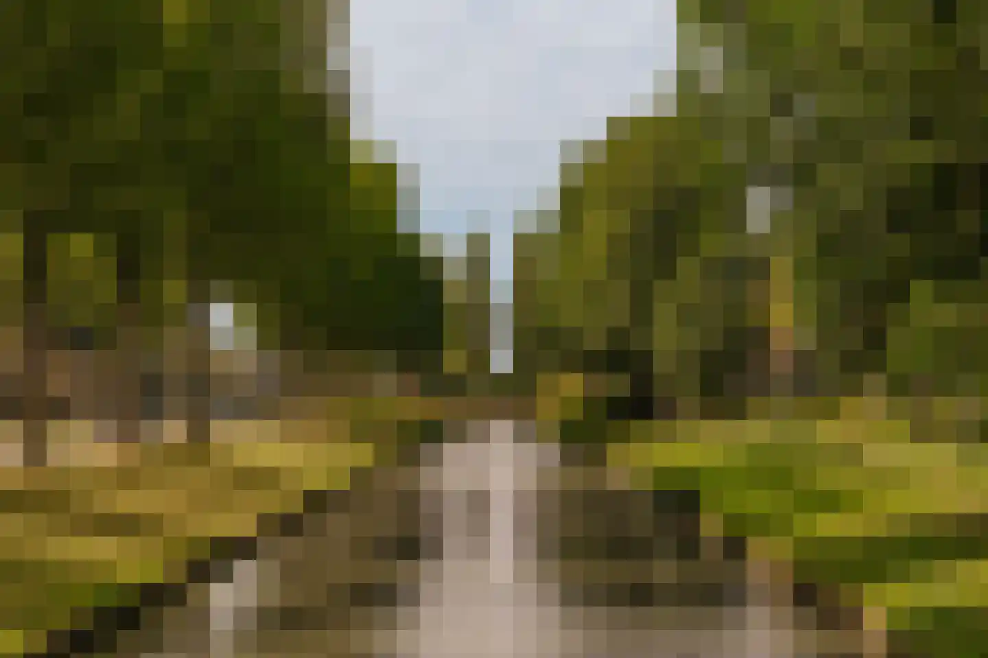 Luttickduin 68 Amstelveen thumbnail 23