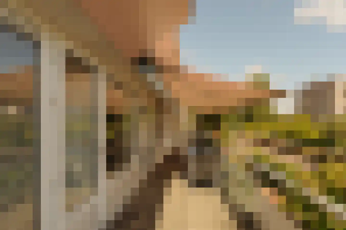 Luttickduin 68 Amstelveen thumbnail 9