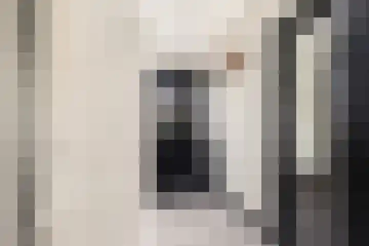 Luttik Cie 37 Heemskerk thumbnail 10