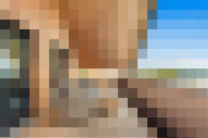 Luttik Cie 37 Heemskerk thumbnail 15