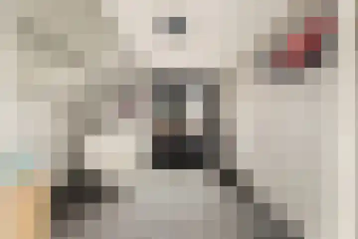Luttik Cie 37 Heemskerk thumbnail 16