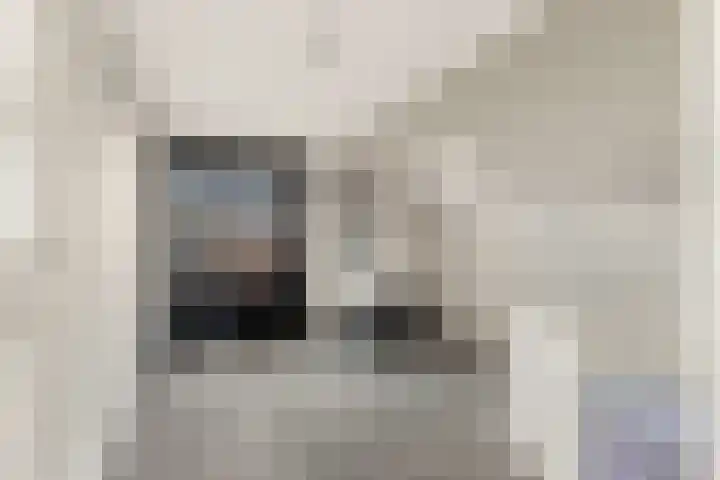 Luttik Cie 37 Heemskerk thumbnail 17