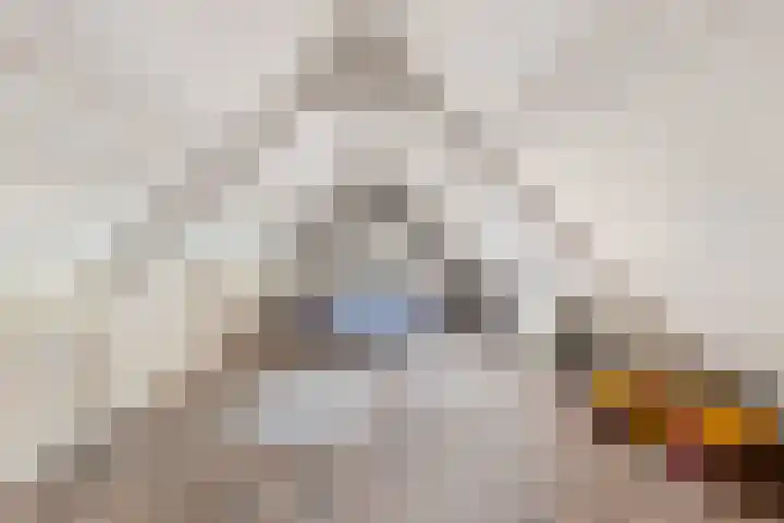 Luttik Cie 37 Heemskerk thumbnail 19