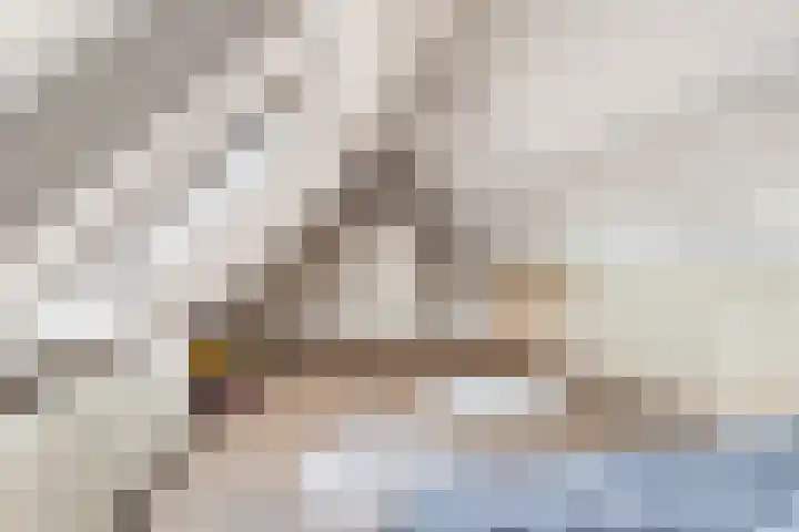Luttik Cie 37 Heemskerk thumbnail 20