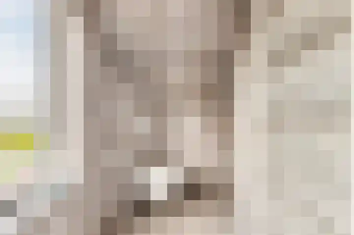 Luttik Cie 37 Heemskerk thumbnail 24