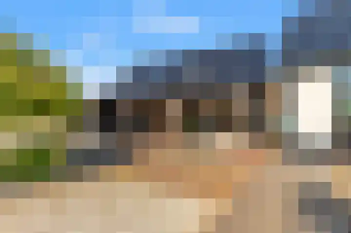 Luttik Cie 37 Heemskerk thumbnail 26