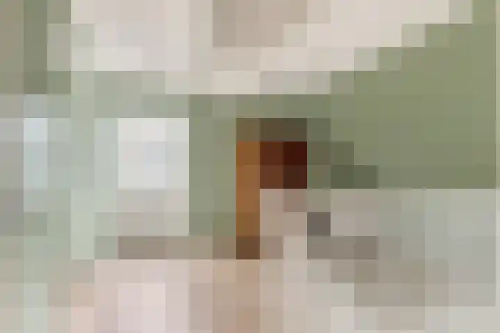 Luttik Cie 37 Heemskerk thumbnail 31