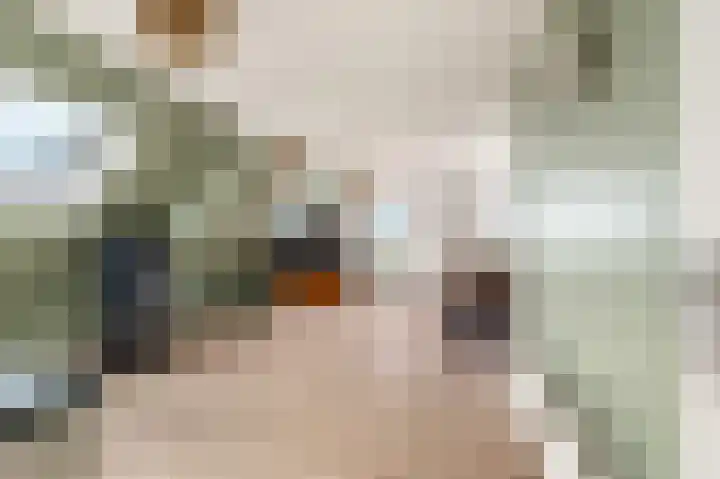 Luttik Cie 37 Heemskerk thumbnail 33