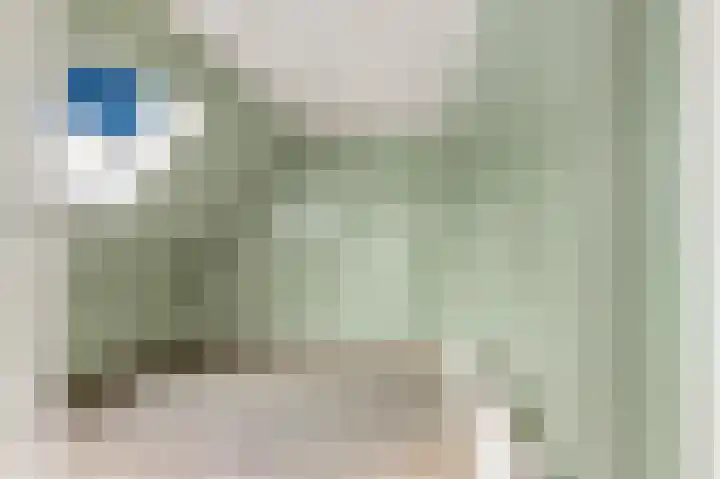 Luttik Cie 37 Heemskerk thumbnail 38