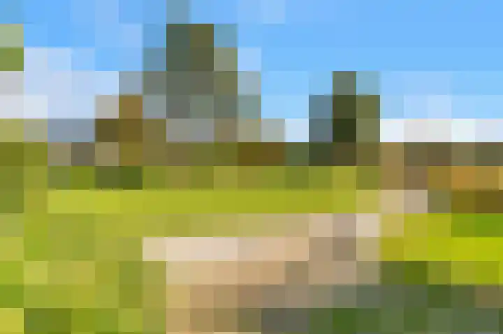 Luttik Cie 37 Heemskerk thumbnail 45