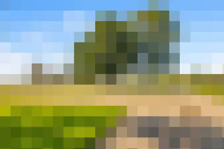 Luttik Cie 37 Heemskerk thumbnail 46