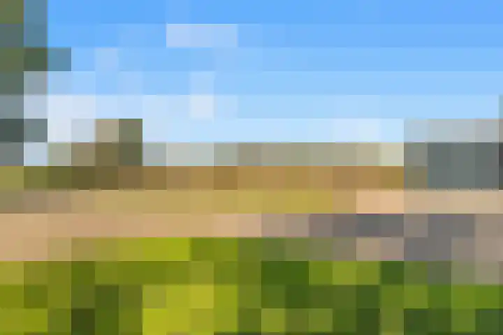 Luttik Cie 37 Heemskerk thumbnail 47