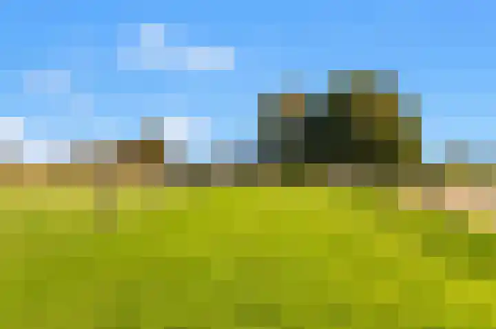 Luttik Cie 37 Heemskerk thumbnail 48