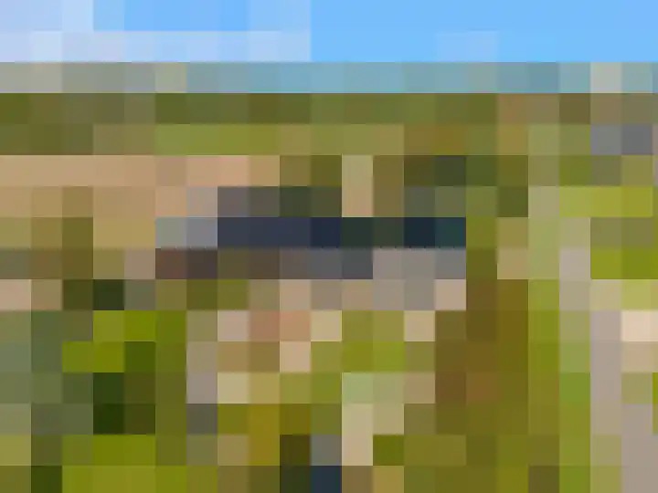 Luttik Cie 37 Heemskerk thumbnail 50