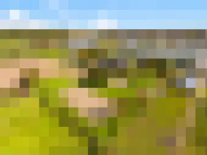 Luttik Cie 37 Heemskerk thumbnail 51
