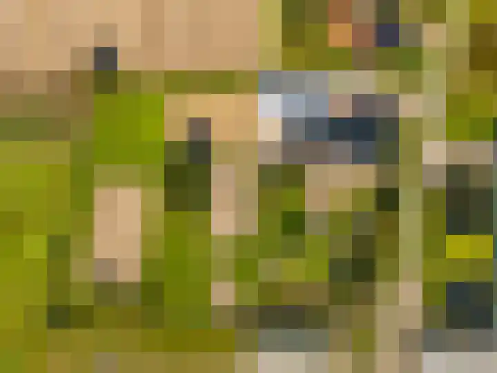 Luttik Cie 37 Heemskerk thumbnail 52