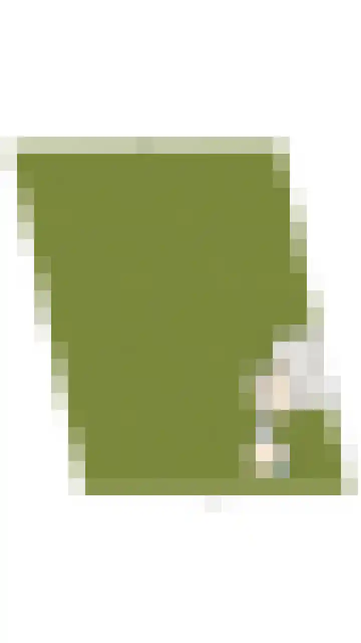 Luttik Cie 37 Heemskerk thumbnail 54