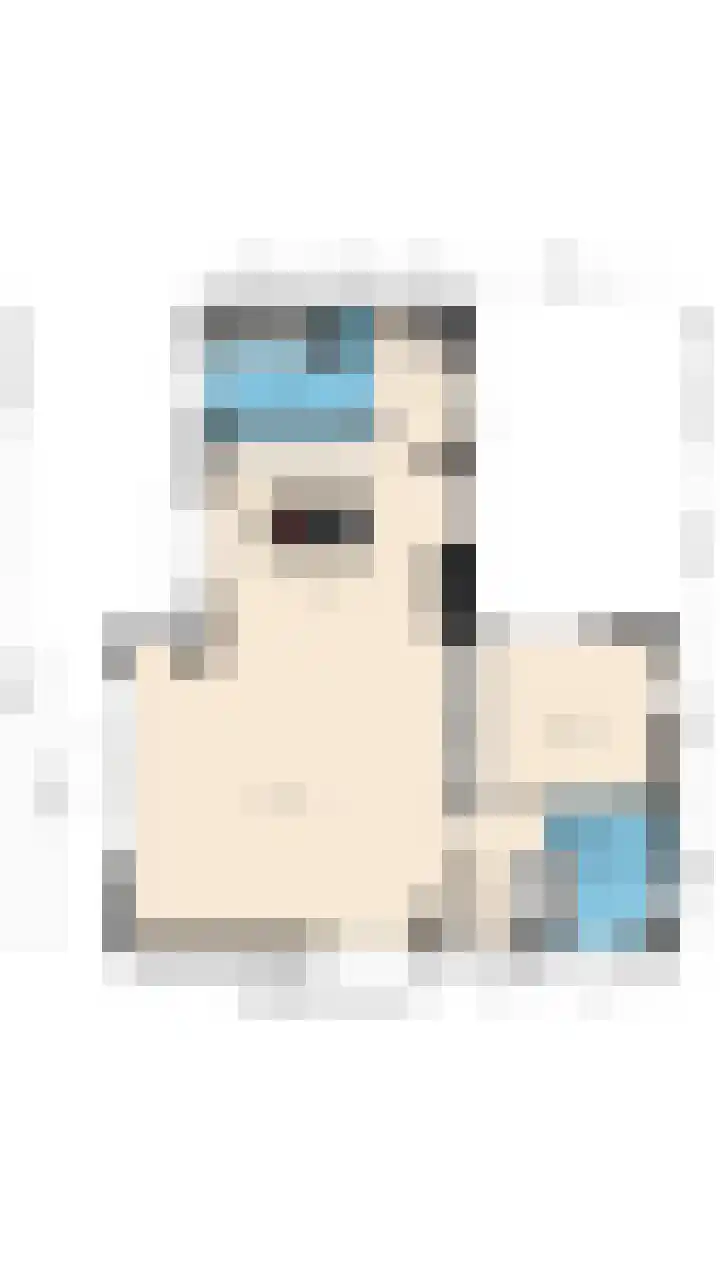 Luttik Cie 37 Heemskerk thumbnail 55