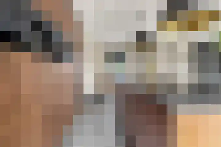 Luttik Cie 37 Heemskerk thumbnail 8