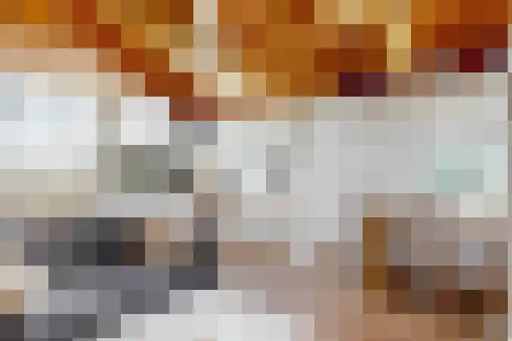 Luttik Cie 50 Heemskerk thumbnail 10