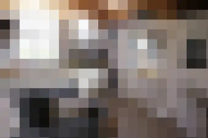 Luttik Cie 50 Heemskerk thumbnail 11
