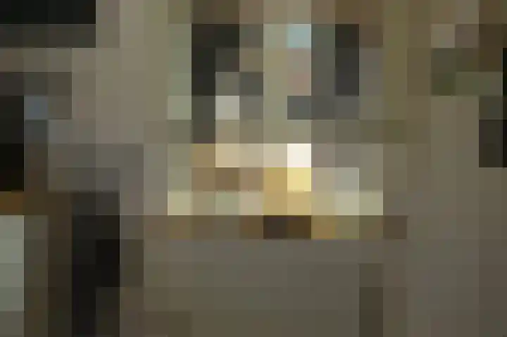 Luttik Cie 50 Heemskerk thumbnail 12