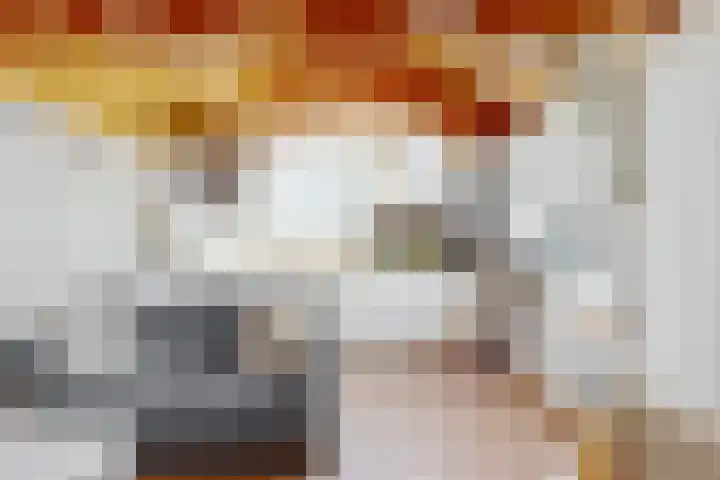 Luttik Cie 50 Heemskerk thumbnail 13