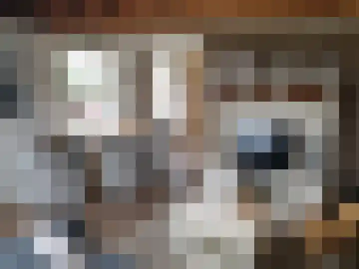 Luttik Cie 50 Heemskerk thumbnail 16