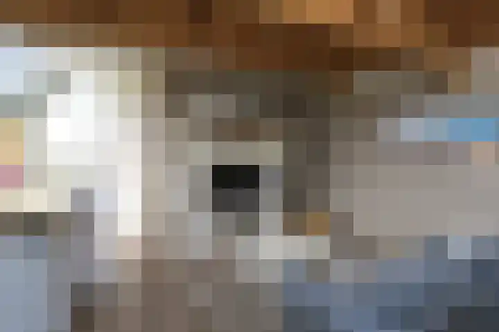 Luttik Cie 50 Heemskerk thumbnail 17