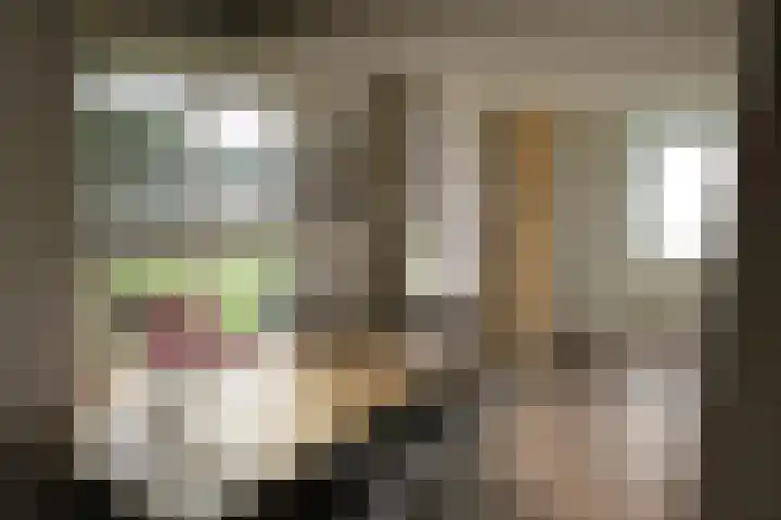 Luttik Cie 50 Heemskerk thumbnail 18