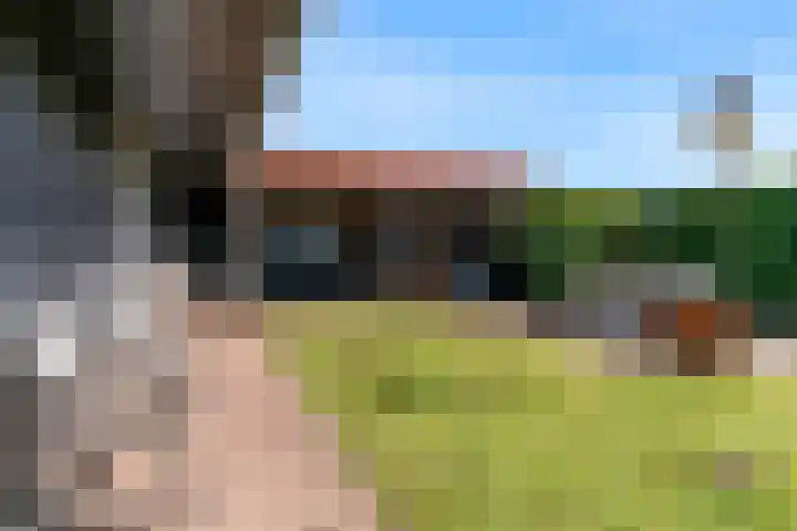 Luttik Cie 50 Heemskerk foto 2