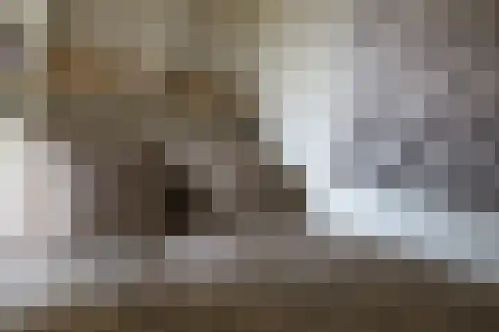 Luttik Cie 50 Heemskerk thumbnail 22