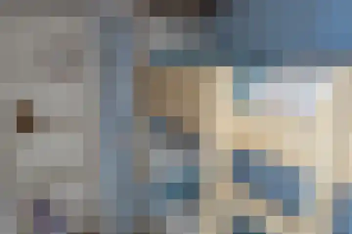 Luttik Cie 50 Heemskerk thumbnail 27