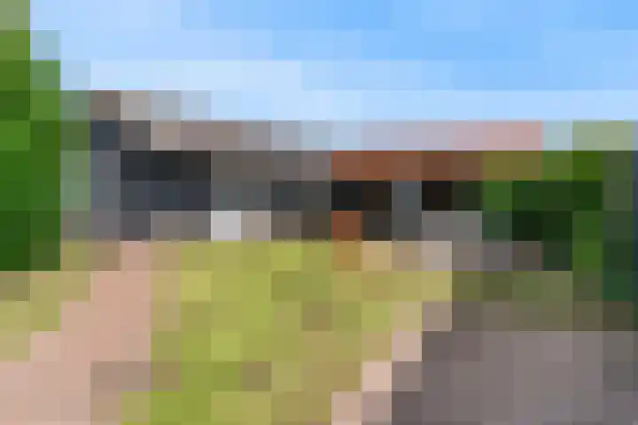 Luttik Cie 50 Heemskerk thumbnail 31