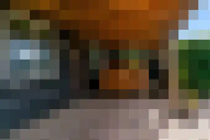 Luttik Cie 50 Heemskerk thumbnail 36
