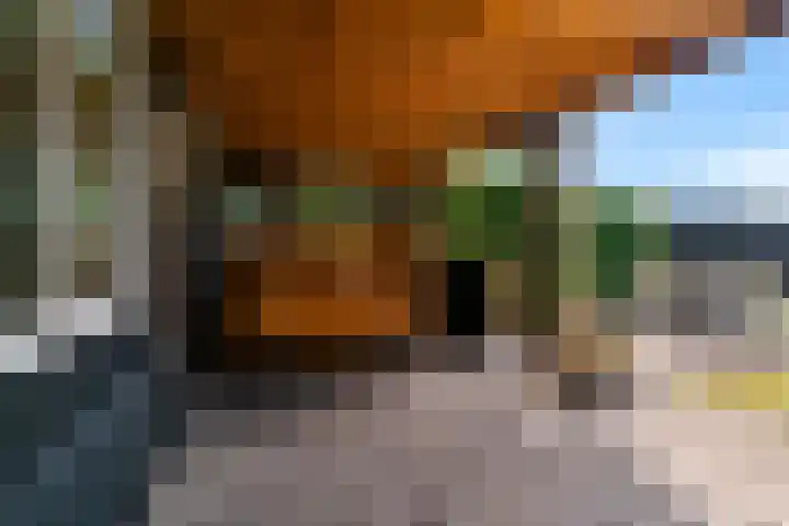 Luttik Cie 50 Heemskerk thumbnail 37