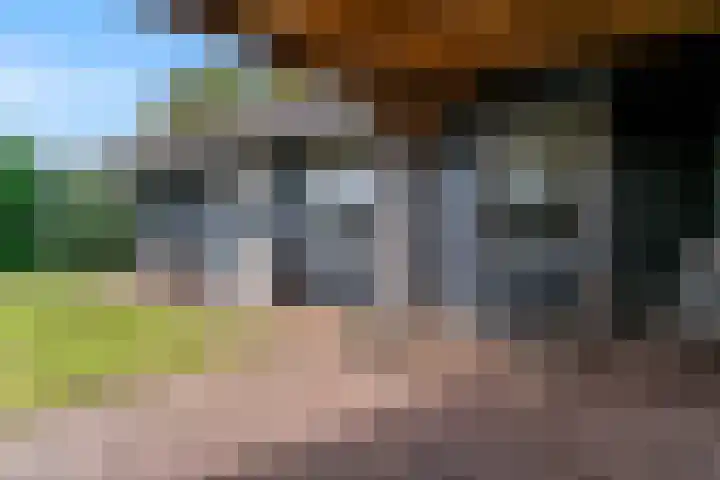 Luttik Cie 50 Heemskerk thumbnail 39