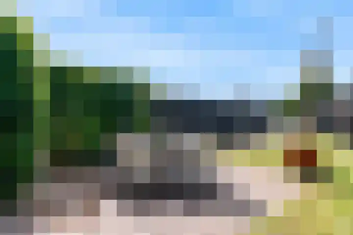 Luttik Cie 50 Heemskerk thumbnail 40