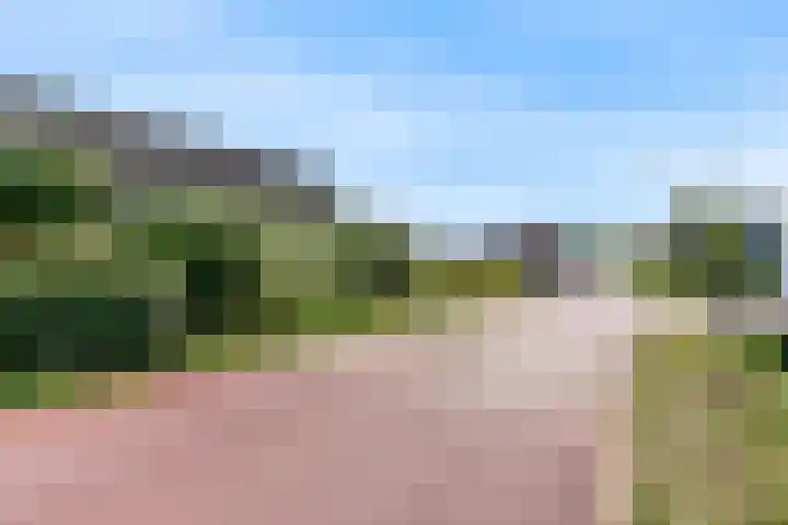 Luttik Cie 50 Heemskerk thumbnail 41