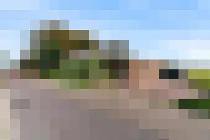 Luttik Cie 50 Heemskerk thumbnail 43