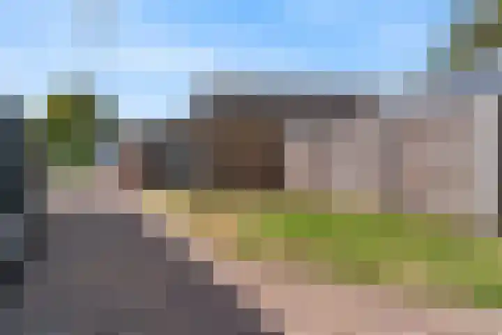 Luttik Cie 50 Heemskerk thumbnail 44