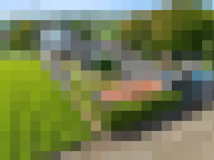 Luttik Cie 50 Heemskerk thumbnail 45