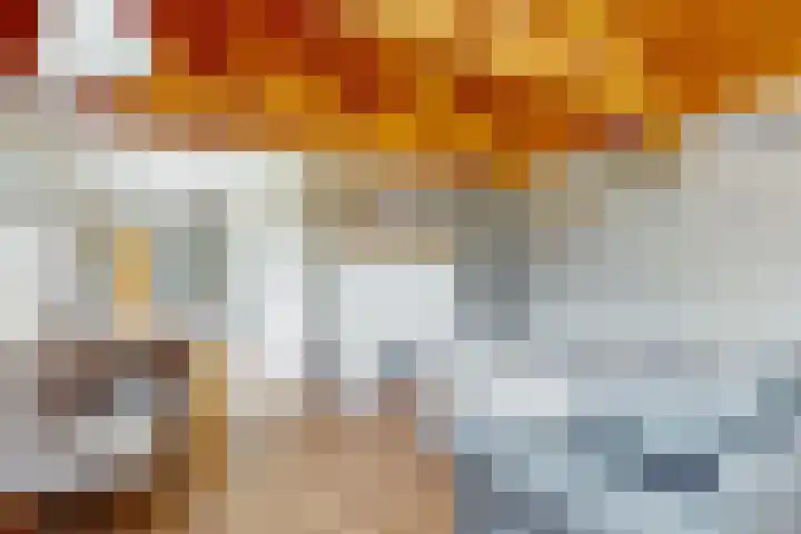 Luttik Cie 50 Heemskerk thumbnail 5